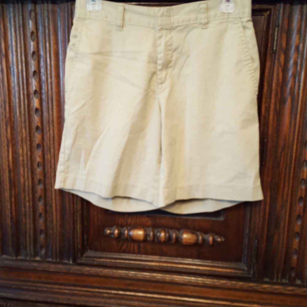 Dickies shorts. 2 pairs.